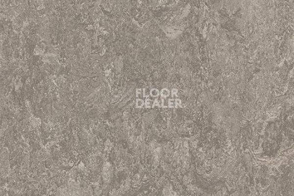Виниловая плитка ПВХ Marmoleum Modular t3146 serene grey фото 1 | FLOORDEALER